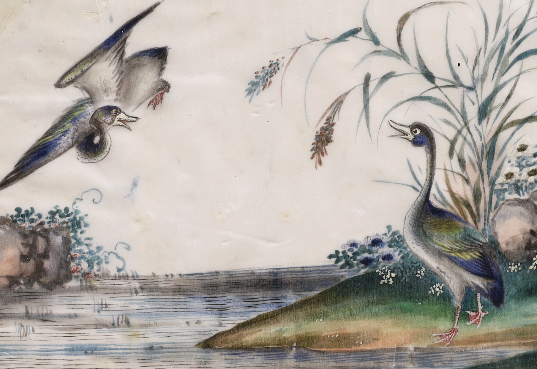 19th century Chinese school, pair of pith paper paintings, Birds beside water, each 16.5 x 25cm, housed in decorative frames